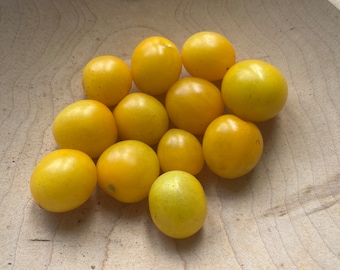 Egg Yolk Cherry Tomato Seeds | heirloom seeds | 30 seeds | heirloom tomatoes | non GMO | organic garden
