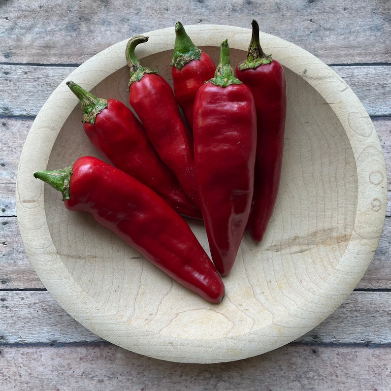 Paprika Pepper Seeds 30 Seeds Heirloom Seeds Organic Etsy