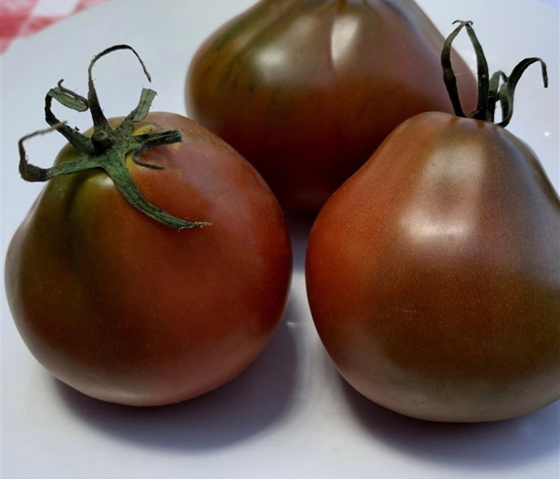 Japanese Black Trifele Tomato Seeds Heirloom Tomatoes Organic Tomatoes Rare Tomato Seeds Etsy