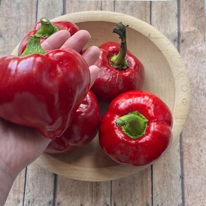 Lesya Pepper Seeds | 30 seeds | heirloom seeds | organic gardening | sweet pepper