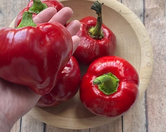 Lesya Pepper Seeds | 30 seeds | heirloom seeds | organic gardening | sweet pepper