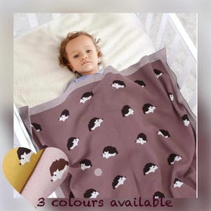 Smooth Touch Cotton Baby blanket ｜Echidna / Hedgehog