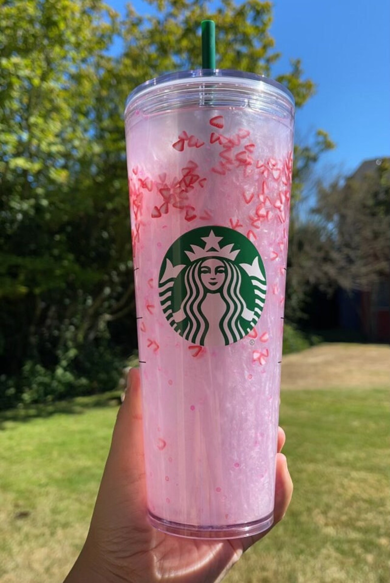 Pink Drink Tumbler Starbucks Pink Drink Snowglobe Etsy
