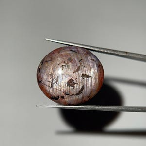 May include: A round, polished gemstone held by tweezers. The gem has a mix of colors, including brown, red, and purple, with dark inclusions. The surface has a reflective quality, and the gem is approximately 1 inch in diameter.