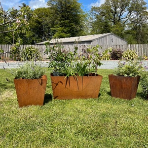 May include: Three rusty metal planters with plants growing inside. The planters are rectangular and have a rustic look. They are sitting on a green grassy lawn.