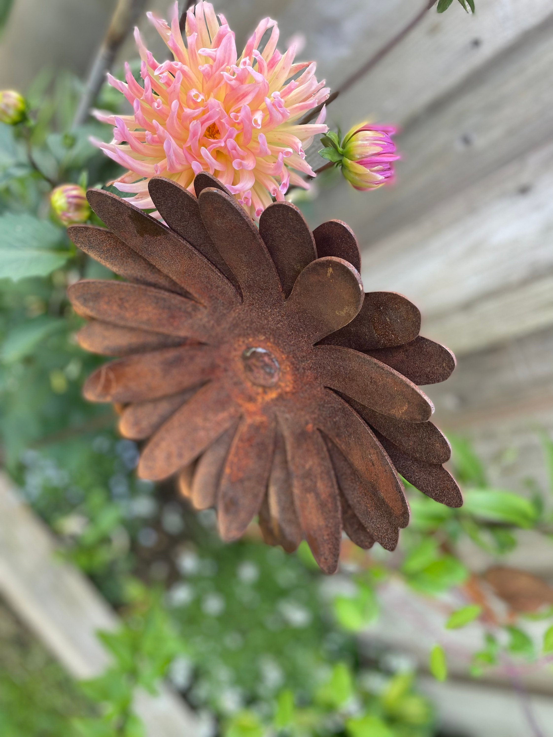 Metal Garden Flowers Sculptures Etsy UK