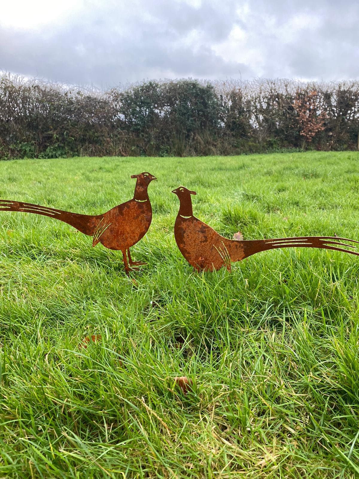 Garden rusty pheasants garden Ornaments . Etsy