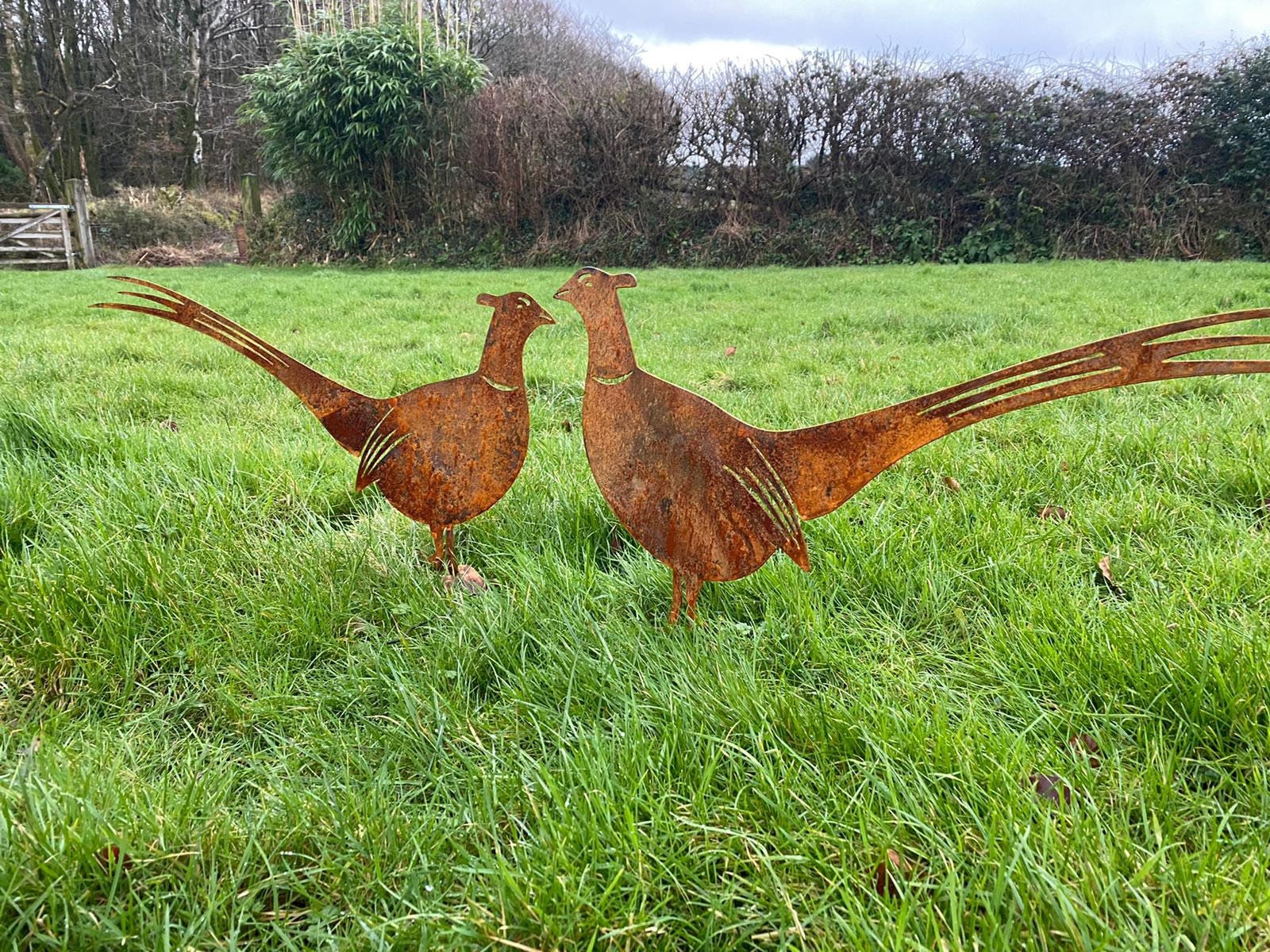 Garden Rusty Pheasants Garden Ornaments . Etsy UK