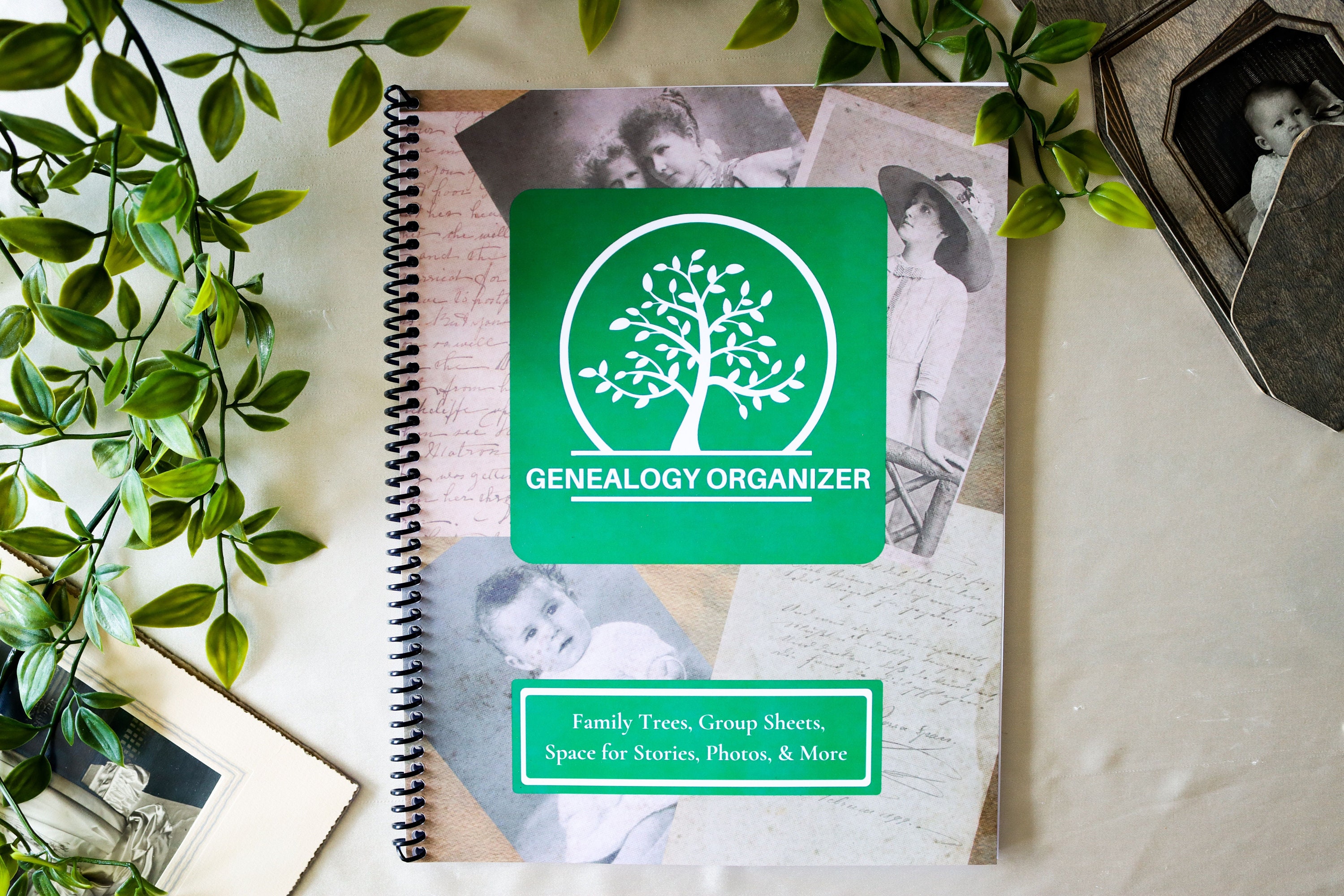Genealogy Organizer Book For Beginners KDP Interior - Inspire Uplift