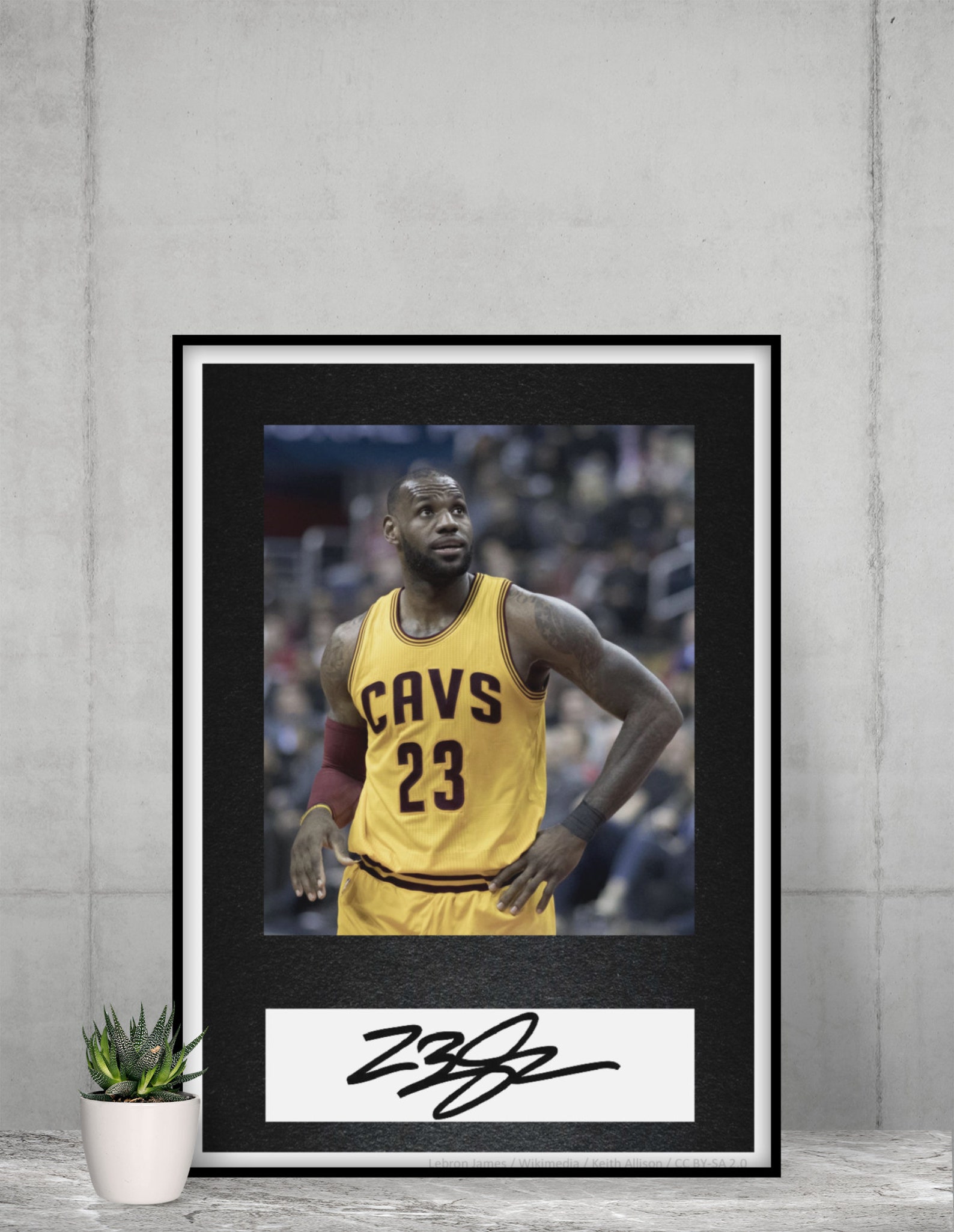 lebrons autograph