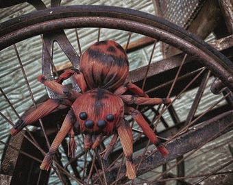 Corn Husk Jumping Spider (Halloween Inspired)