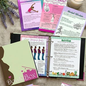 May include: A light green and brown DoulaBox with the text "DoulaBox" and a silhouette of a pregnant person. The image also shows a binder with informational pages about pregnancy, including nutrition and exercise guides.