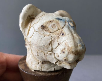 Lovely Lioness Head Terracotta Sculpture