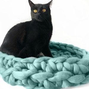 Cat owner gift dog coat pattern kitty couch crochet pattern cat bed video pattern dog bed pattern couch puppy Christmas gift cat lover