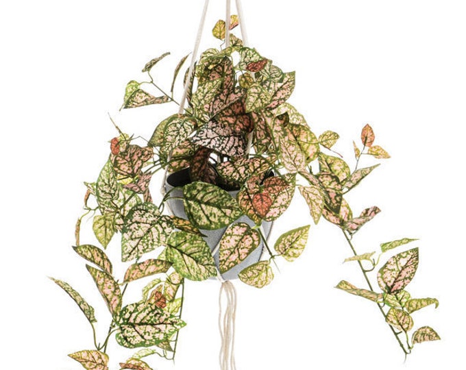 Artificial Trailing Fittonia House Plantfaux Trailing Plantrealistic