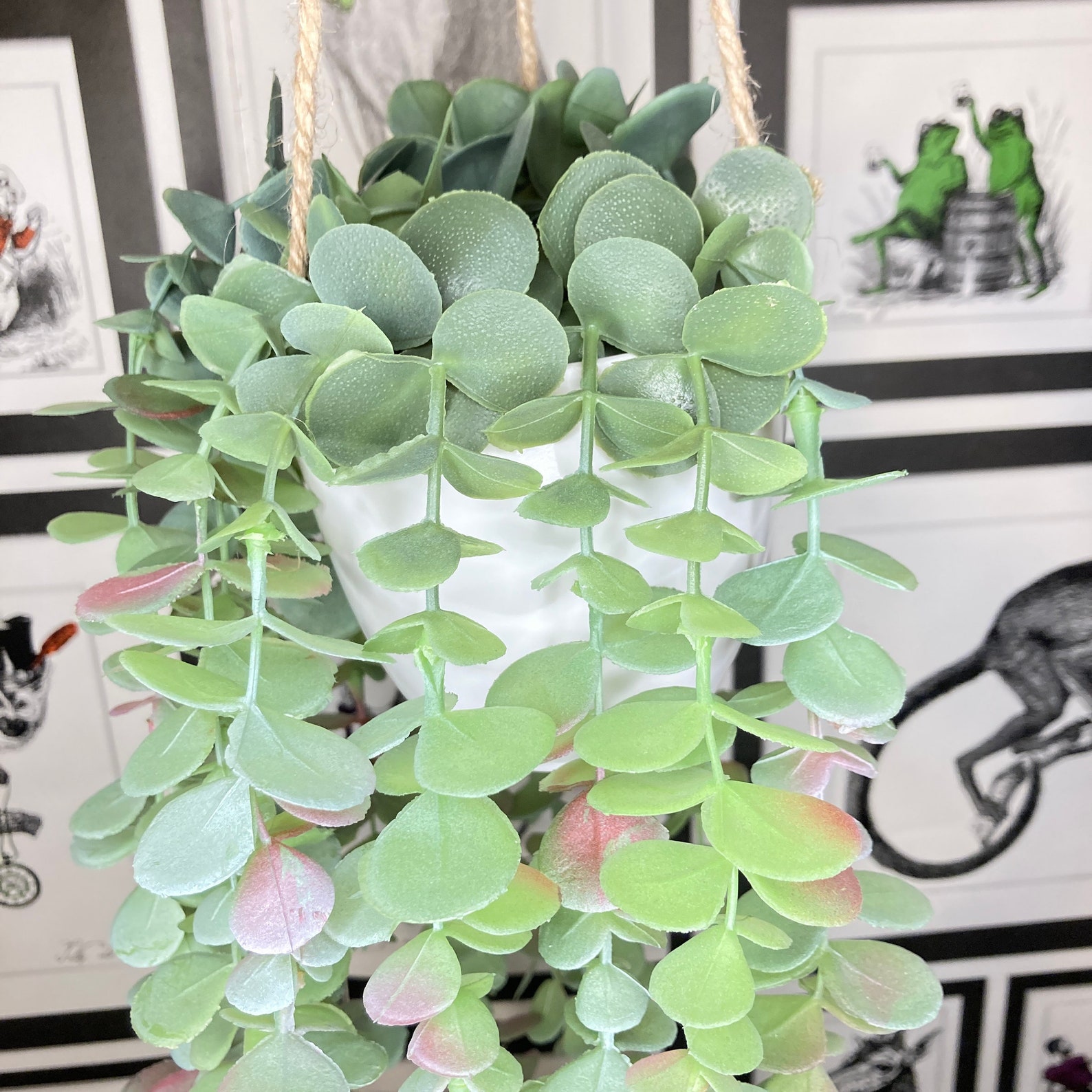 Artificial Trailing Eucalyptus House Plant3 Sizesfaux Etsy UK