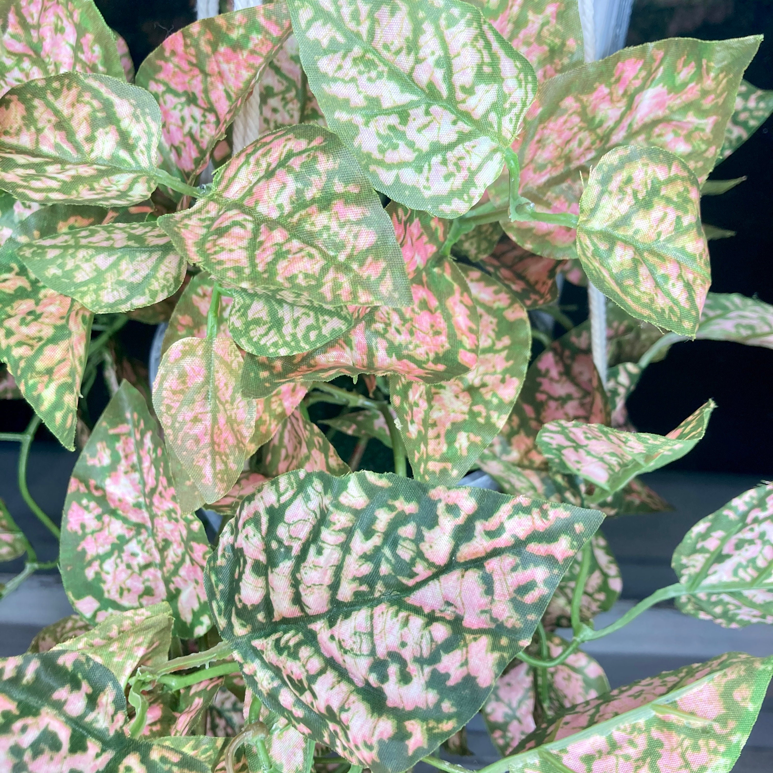 Artificial Trailing Fittonia House PlantFaux Trailing Etsy