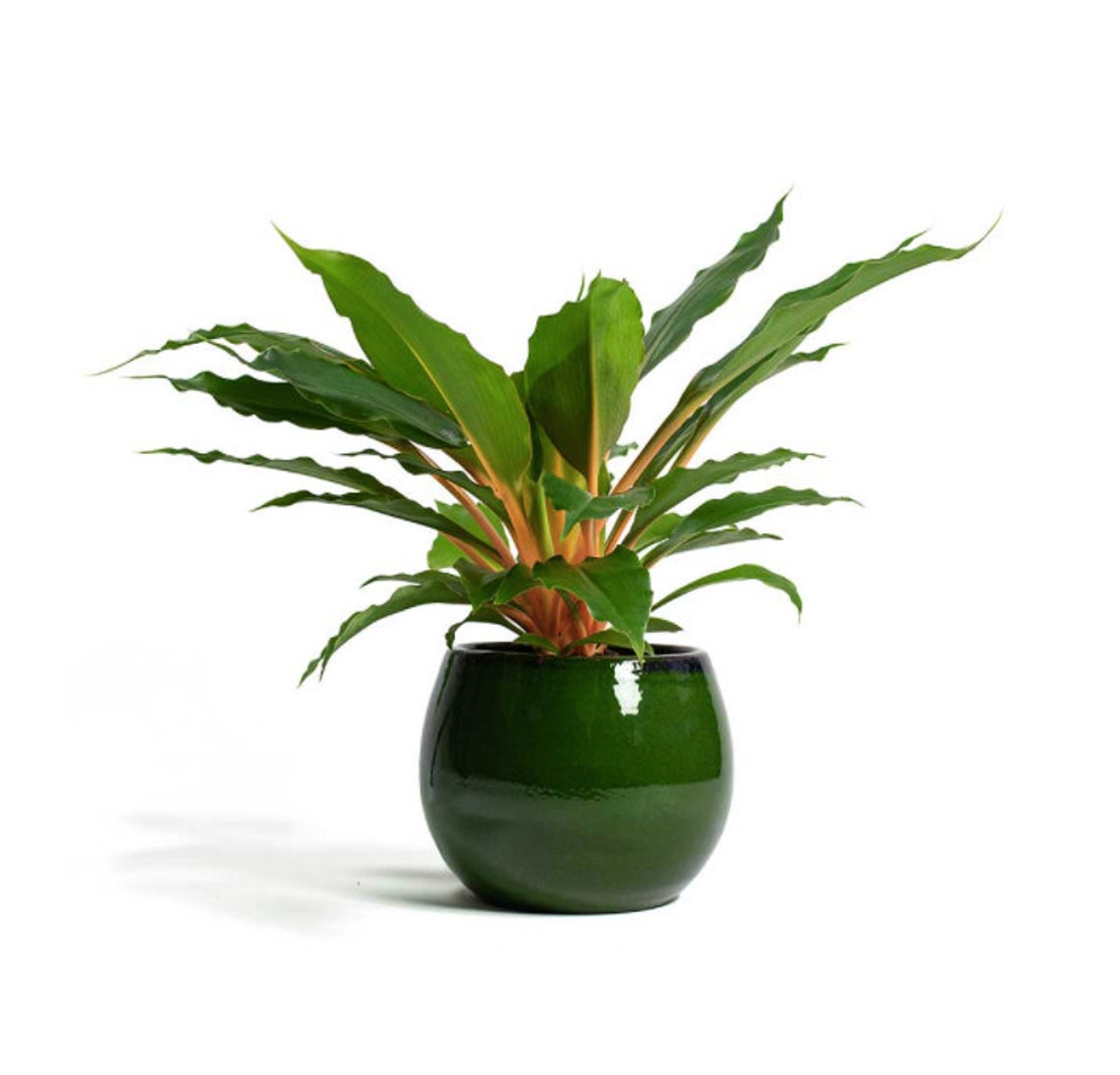 Indoor Plant Pot Hanging Plant Pot Blue Green Plant Pot Etsy UK