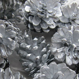 May include: A collection of silver pine cones, each with a unique shape and texture. The cones are arranged in a cluster, creating a decorative and festive display.