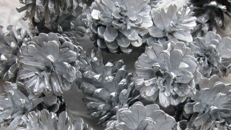 May include: A collection of silver pine cones, each with a unique shape and texture. The cones are arranged in a cluster, creating a decorative and festive display.