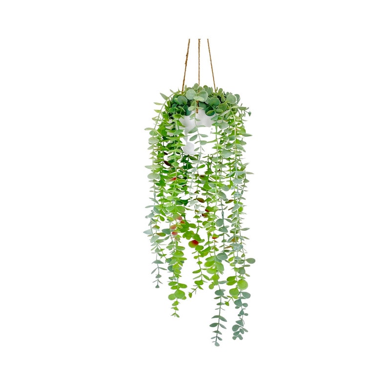 New Artificial Trailing Eucalyptushouse Plantfaux Trailing Etsy UK