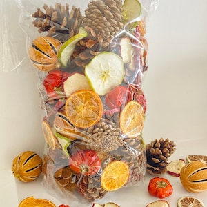 May include: A clear plastic bag filled with dried fruit and pinecones. The bag contains orange slices, apple slices, and small red gourds. Several pinecones are visible, along with loose fruit and gourds scattered around the bag.