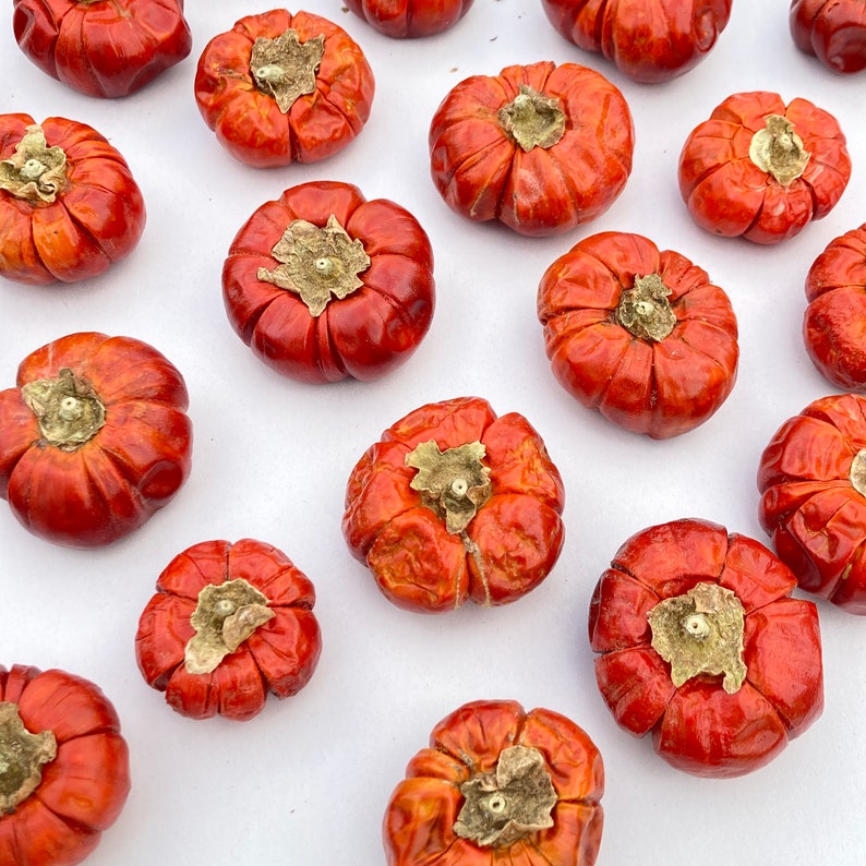 May include: A collection of 15 red, orange, and brown eggplant-shaped vegetables. The vegetables are arranged in a random pattern on a white surface.