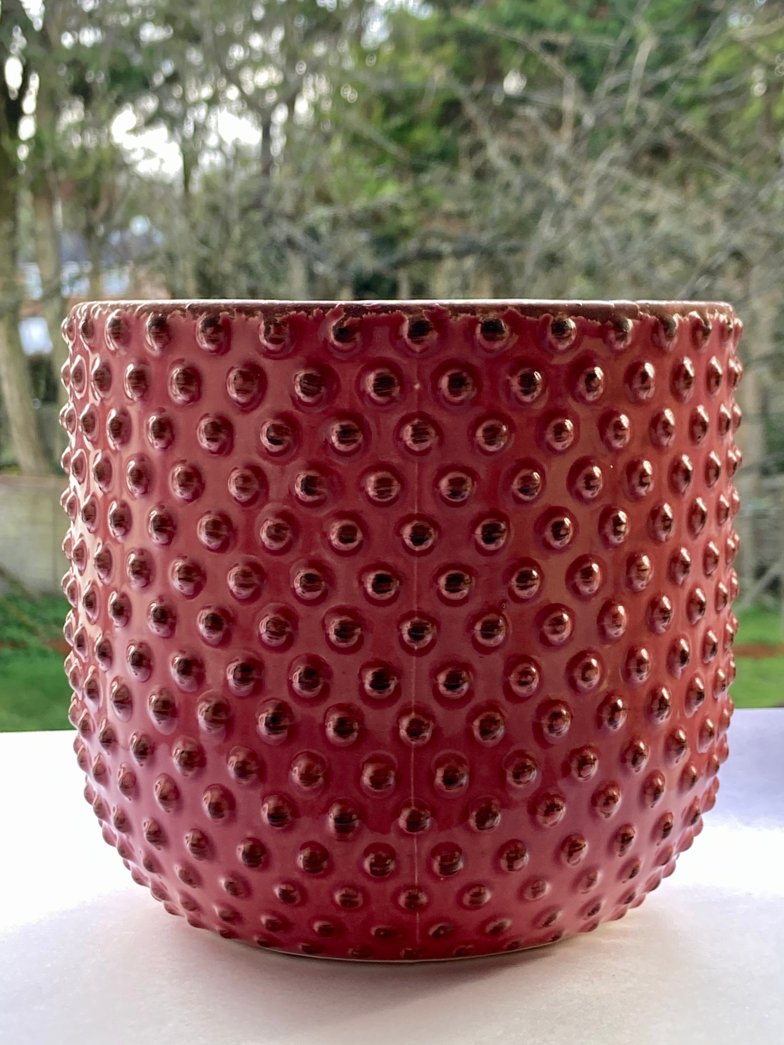 Pink Indoor Plant Pot
