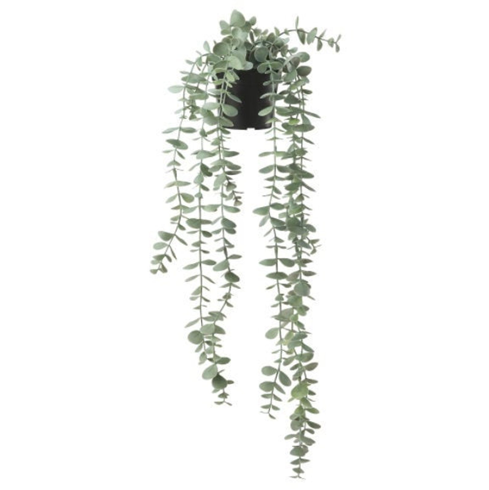 Eucalyptus Faux Trailing House Plantrealistic Lifelike Hanging Indoor