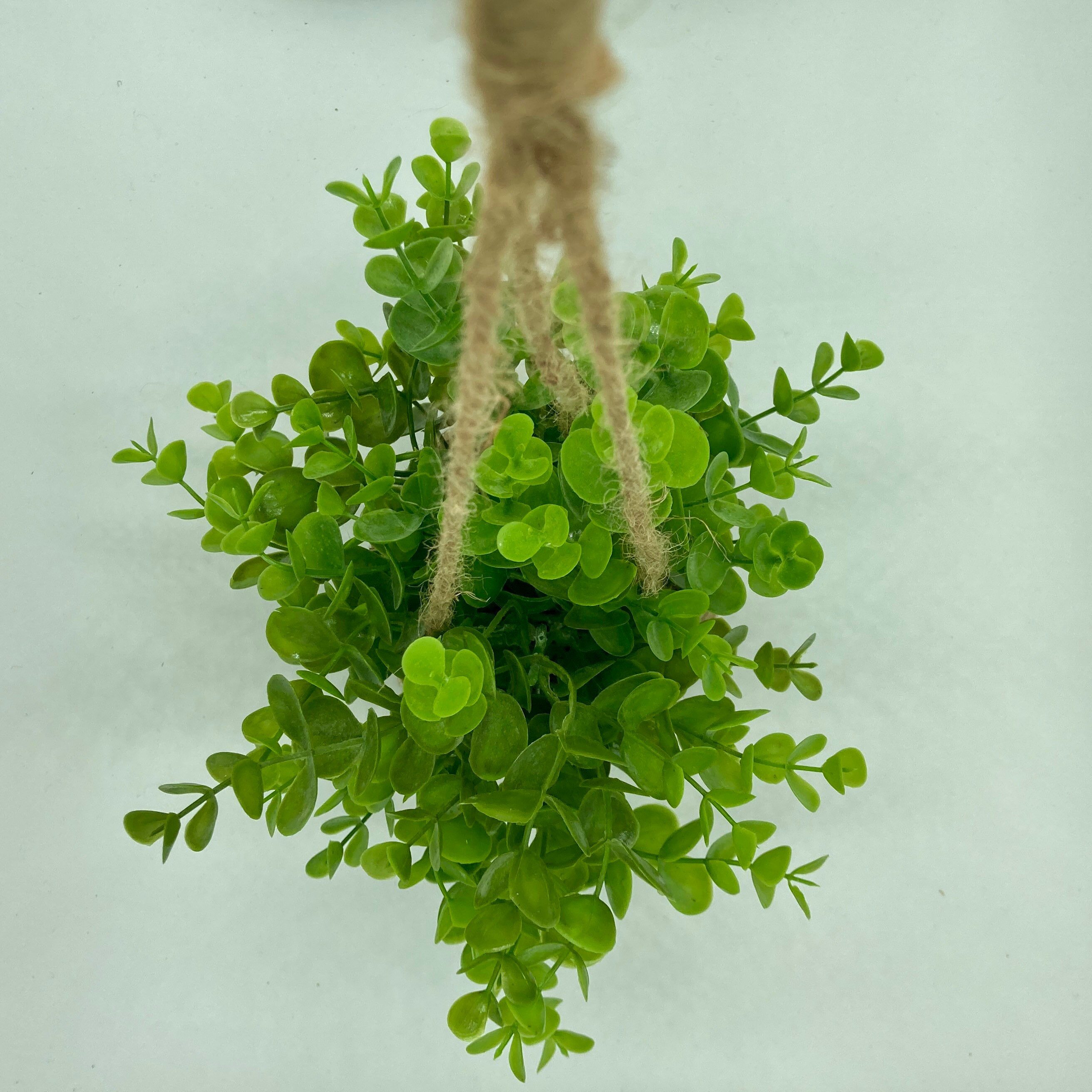 Artificial Hanging House PlantRealistic Fake Hanging Indoor Etsy