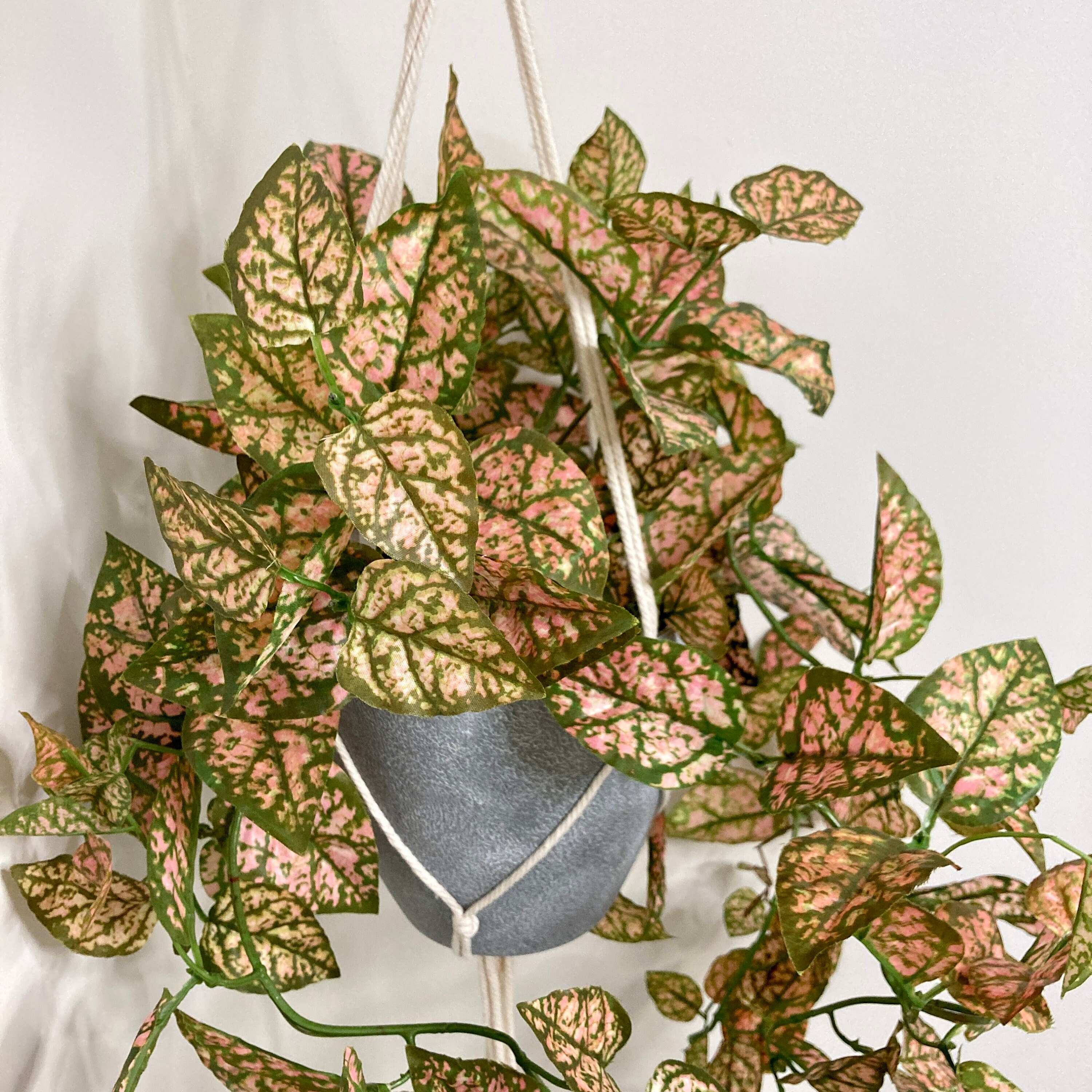 Artificial Trailing Fittonia House PlantFaux Trailing Etsy