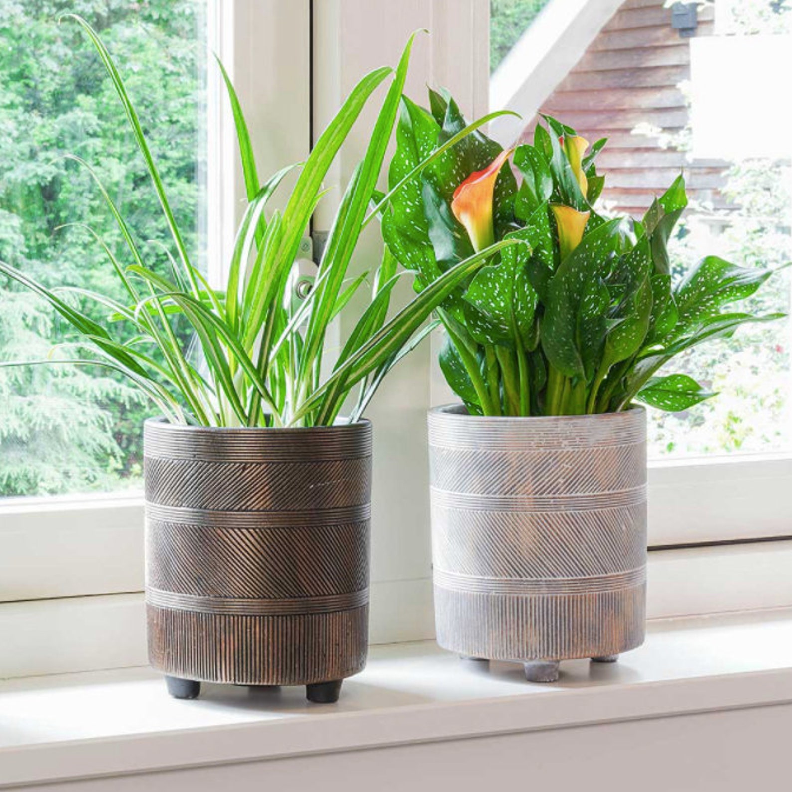 Indoor Plant Pot Uk