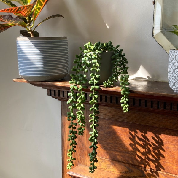 String Of Pearls Artificial Trailing House Plant-Faux Trailing Plant-Realistic Fake hanging Indoor Trail Plant-Hanging Lifelike Plant In Pot