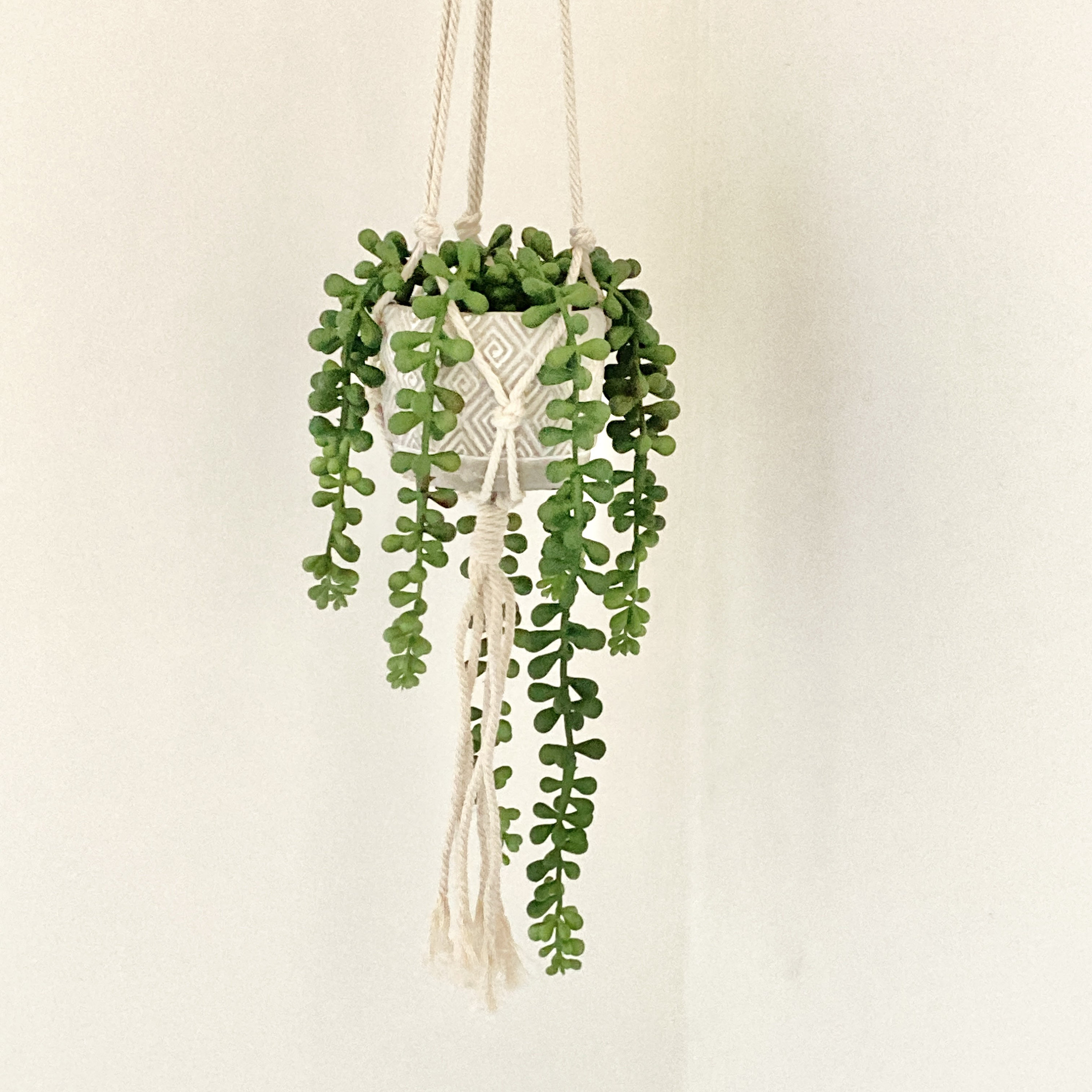 Guirlande de perles artificielles de HomeSense