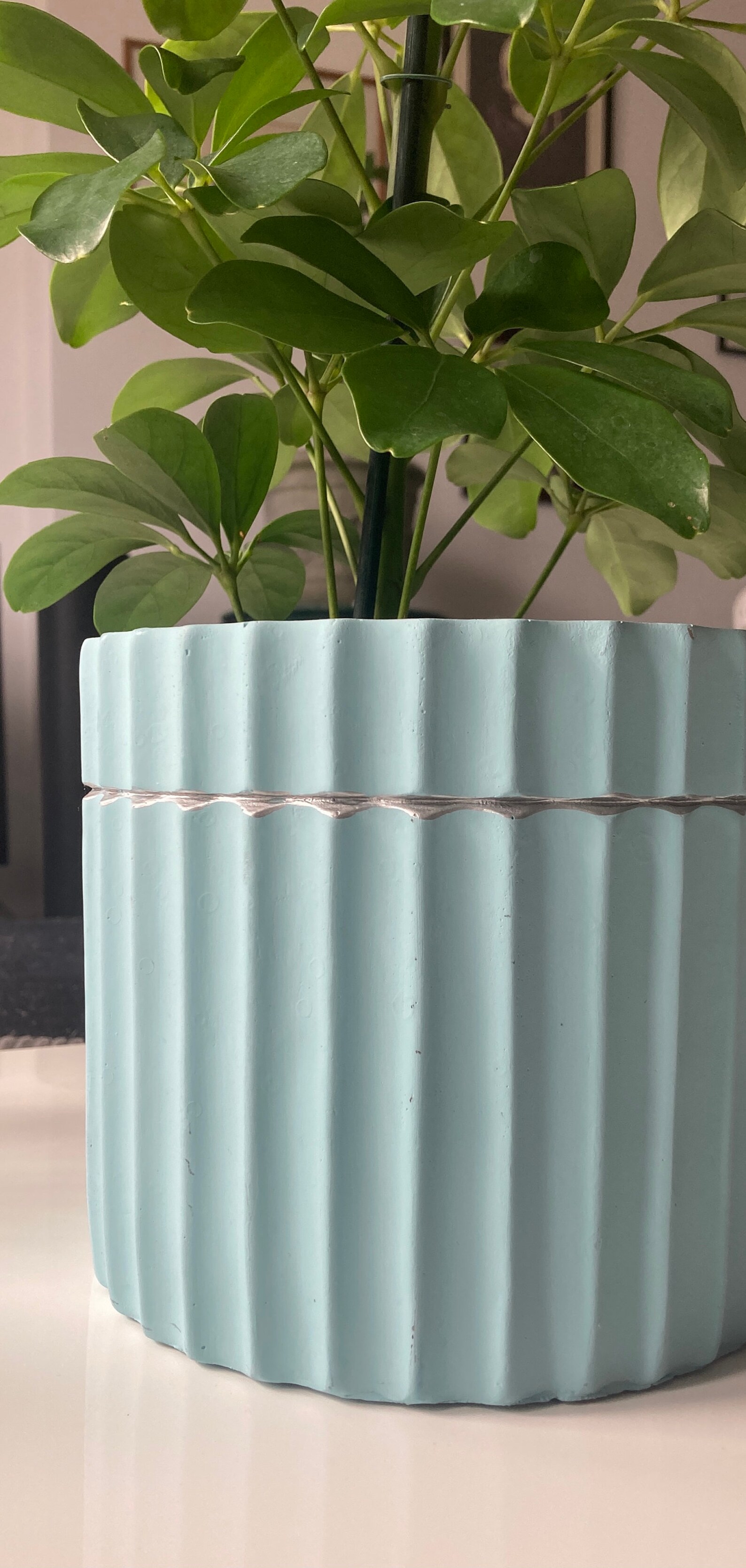 Blue Concrete Indoor Plant Pothanging Plant Potblue Silver Etsy UK