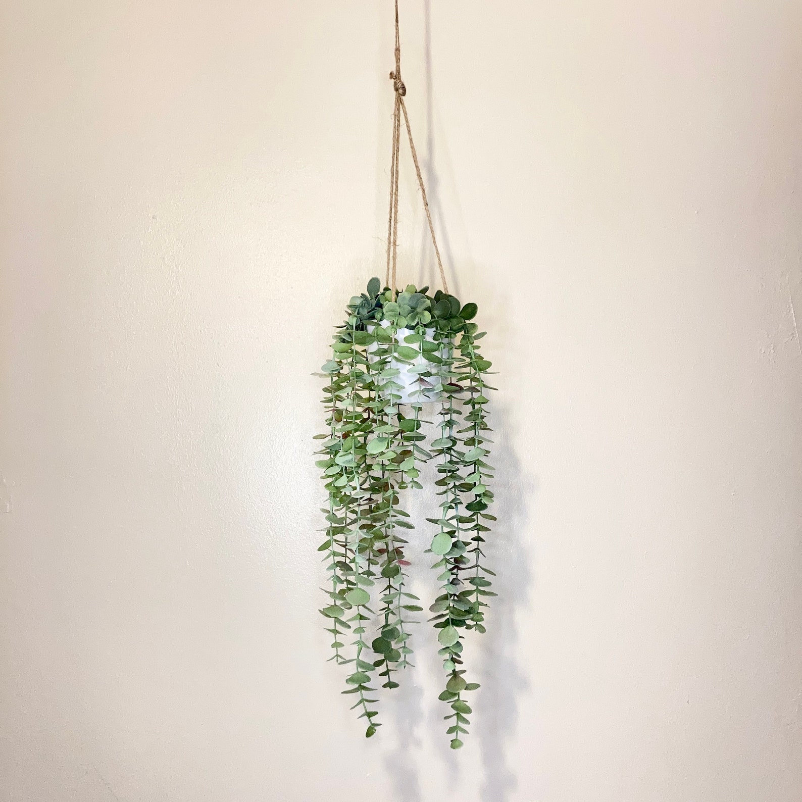 Artificial Trailing Eucalyptus House Plant3 Sizesfaux Etsy UK