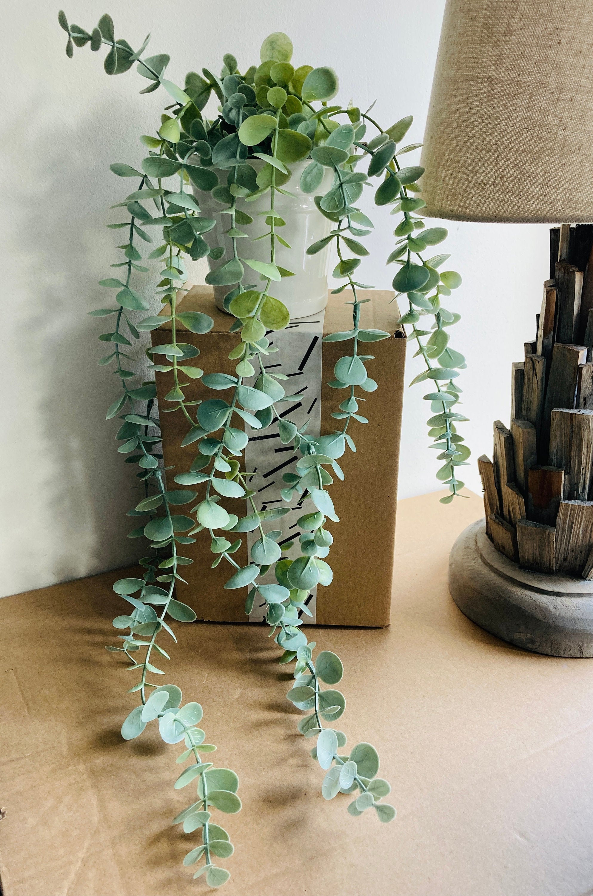 Home & Hobby Gardening & Plants Forever Green Indoor Plants Hangers