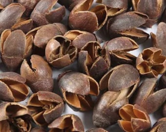 Bakuli, bakuli pods, natural pods, dry bakuli pods, decorative bakuli pods, 50g, 100g, 150g, sample pod, 10, 25 pods available.