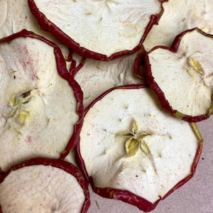 May include: A pile of dried apple slices with a red rim. The apple slices are arranged in a random pattern. The slices are light brown in color and have a slightly translucent appearance.