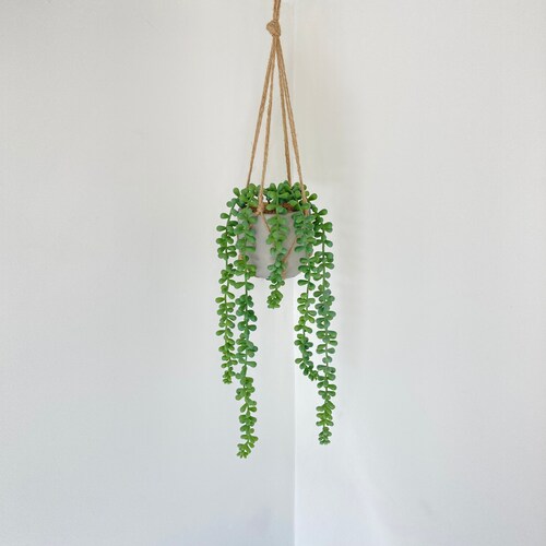 Hanging Artificial Trailing String of Pearls House Plantfaux Etsy