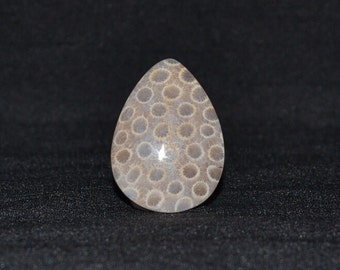 Natural Cabochon 39mm | Agatized Fossil Coral Emotion Healer Gemstones Flat Back Teardrop Shape