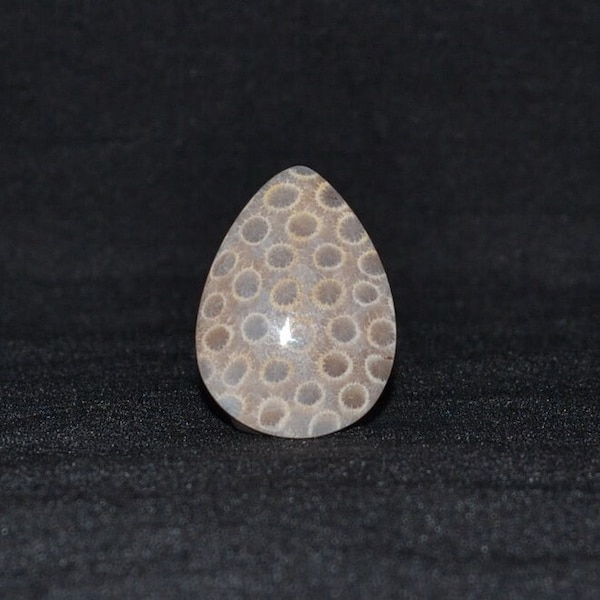 Natural Cabochon 39mm | Agatized Fossil Coral Emotion Healer Gemstones Flat Back Teardrop Shape