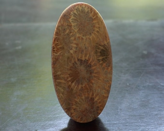 Natural Beige Agatized Fossil Coral Cabochon 44.4mm | Flower Stone Hand Cut and Hand Polished Flat Back Oval Shape