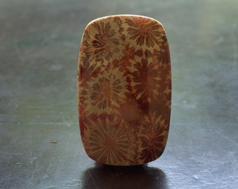 Natural Brown Cabochon 38.51mm. Agatized Fossil Coral Emotion Healer Gemstones Flat Back Rectangle Shape