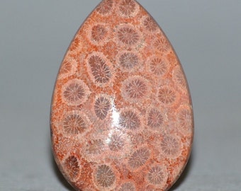 Natural Cabochon 45.5 mm. Agatized Fossil Coral Emotion Healer Gemstones Flat Back Teardrop Shape