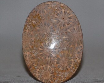 Natural Cabochon 38mm. Agatized Fossil Coral Emotion Healer Gemstones Flat Back Oval Shape