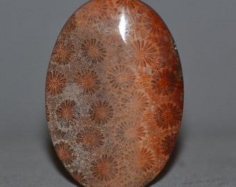 Natural Cabochon 47.34mm. Agatized Fossil Coral Emotion Healer Gemstones Flat Back Oval Shape