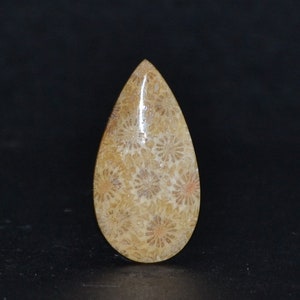 Natural Cabochon 41 mm. Agatized Fossil Coral Emotion Healer Gemstones Flat Back Teardrop Shape