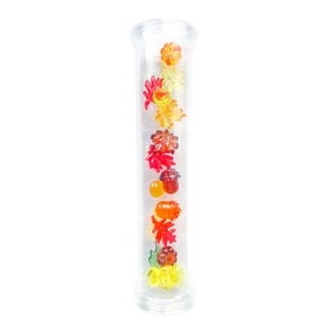 Autumn Nature Sensory Bottle, Explore Motor and Speech Skills Play