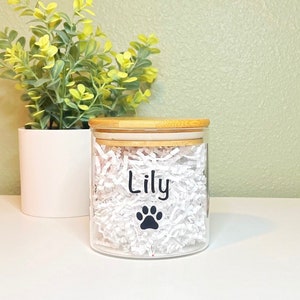 Custom Dog Treat Jar, Pet Food Storage Container, Personalized Glass Jar with Airtight Lid, Cat Name Treat Holder, Dog Items, Jar for Treats